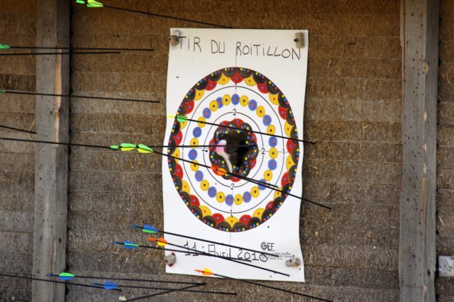 roy2010_12_20100418_1495791360