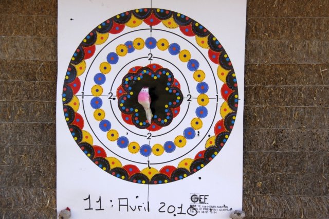 roy2010_18_20100418_1428849317