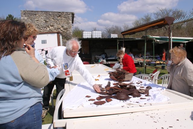 roy2010_21_20100418_1384791565