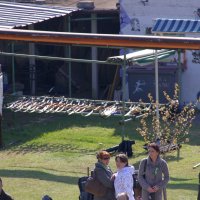 roy2010_10_20100418_1830859886