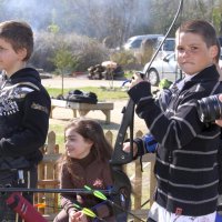 roy2010_15_20100418_1618872890