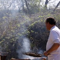 roy2010_16_20100418_1592458631