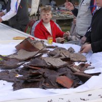 roy2010_17_20100418_1606621507