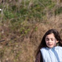 roy2010_19_20100418_1040776565