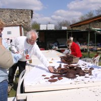 roy2010_21_20100418_1384791565