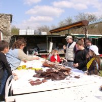 roy2010_21_20100418_1603185356