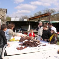 roy2010_22_20100418_2097673629