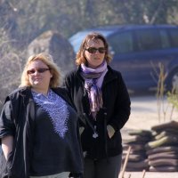 roy2010_26_20100418_1676338526