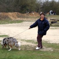 roy2010_29_20100418_1636564531