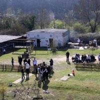 roy2010_30_20100418_1250115391