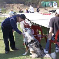 roy2010_4_20100418_1648915003