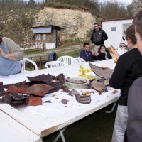 roy2010_6_20100418_1425155290