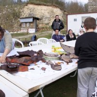 roy2010_7_20100418_1500445670