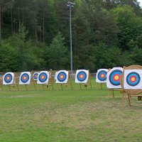 handisport_extrieur_2011_4_20110509_1836073057