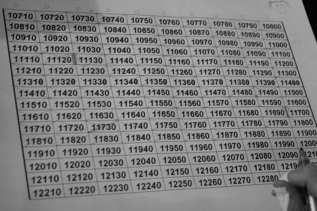 telethon2010_13_20101204_1534681384