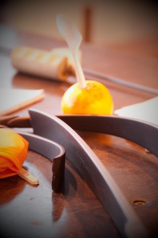 telethon2010_1_20101205_1583345626