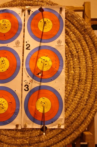 telethon2010_2_20110207_1452824841