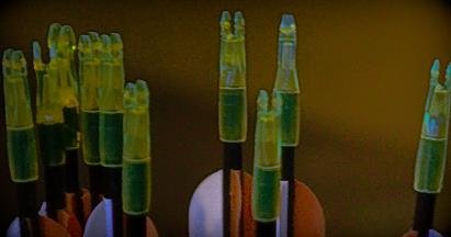 telethon2010_4_20101204_1568199821