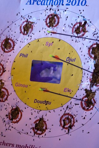 telethon2010_6_20101204_1830150321