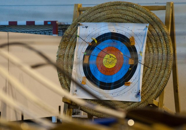 telethon2010_7_20101204_1334651461