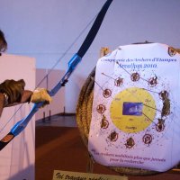 telethon2010_11_20101204_1880338839