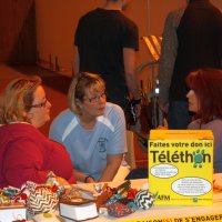 telethon2010_12_20110207_2029881909