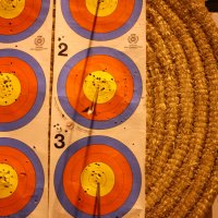 telethon2010_2_20110207_1452824841