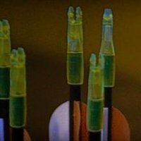 telethon2010_4_20101204_1568199821