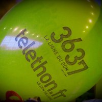 telethon2010_6_20101204_1238563470