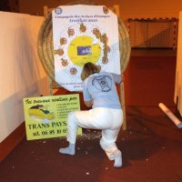 telethon2010_6_20110207_1207491283