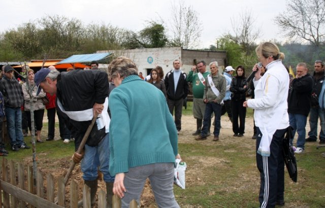 roy2011_15_20110428_1764292712