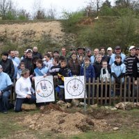 roy2011_11_20110428_1032740779