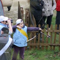 roy2011_16_20110428_1480347456