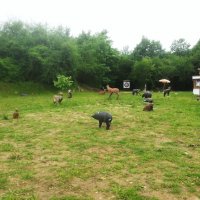 20130622_144903-1024