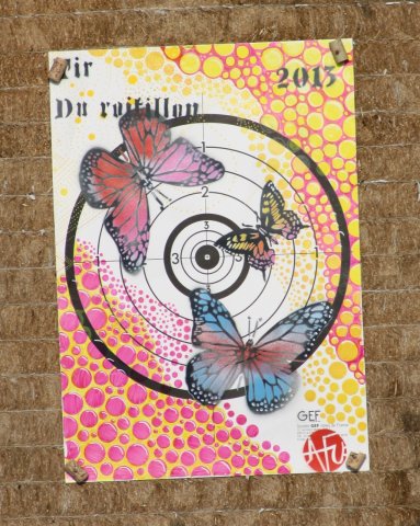 2013-TirDuRoy-07_small