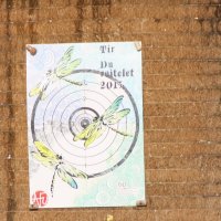 2013-TirDuRoy-03_small