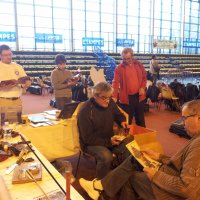 Concours Etampes 2015