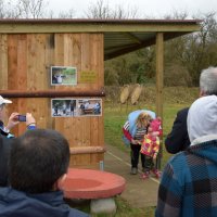 Partie de deuil Alain Magot