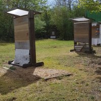 PHOTO-2019-04-27-18-11-07