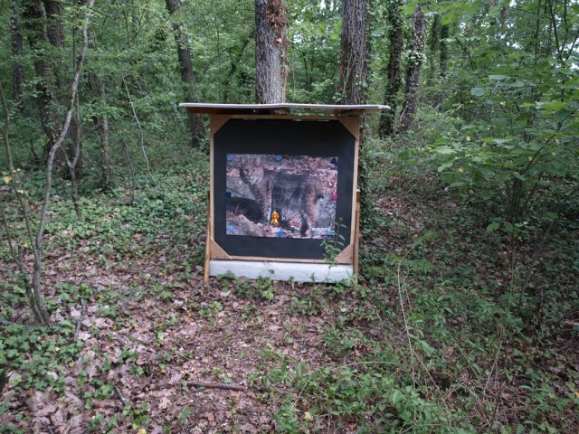 humery_11_20091109_1976688616