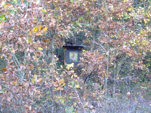 humery_14_20091109_2068025273