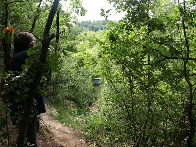 humery_16_20091109_2011744261