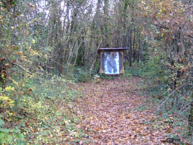 humery_3_20091109_1379683260