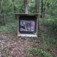 humery_11_20091109_1976688616