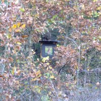 humery_14_20091109_2068025273