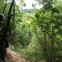 humery_16_20091109_2011744261