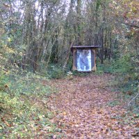 humery_3_20091109_1379683260