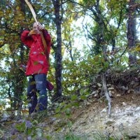 humery_7_20091109_1602846558